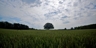 37562337_square_thumb