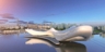 Qsyc_00_square_thumb