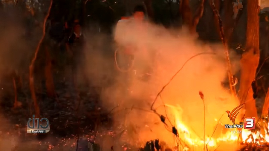 113_Fire.jpg