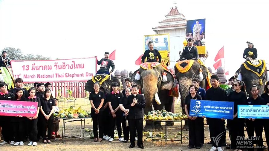 130306-elephant.jpg