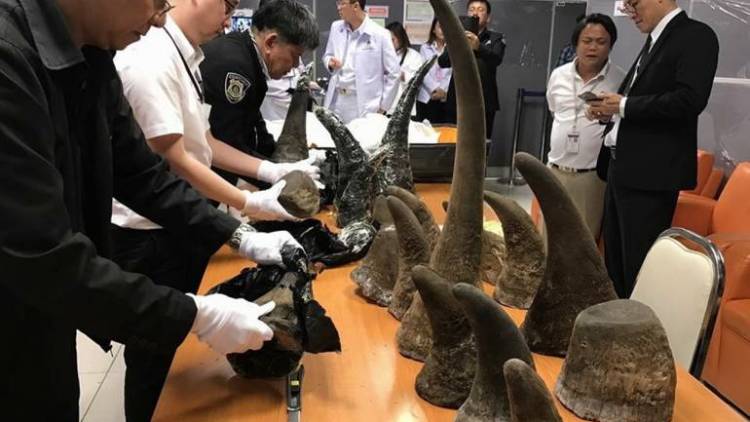 rhino-horns.jpg