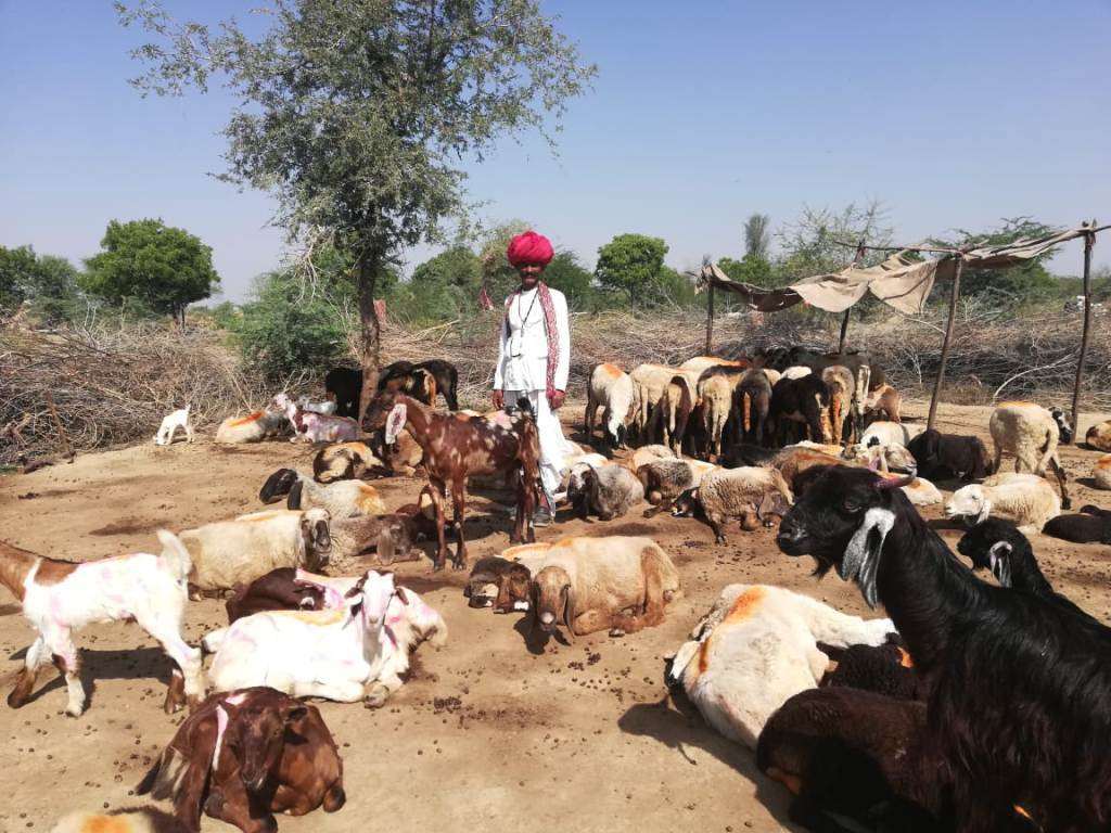 خانہ بدوش کمیونٹی کا ایک آدمی۔ (فوٹو : مادھو شرما /دی وائر)