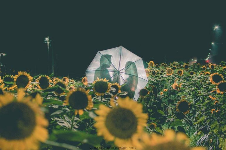 10 Sunflower Photos We Love at UP Diliman’s Graduation Season