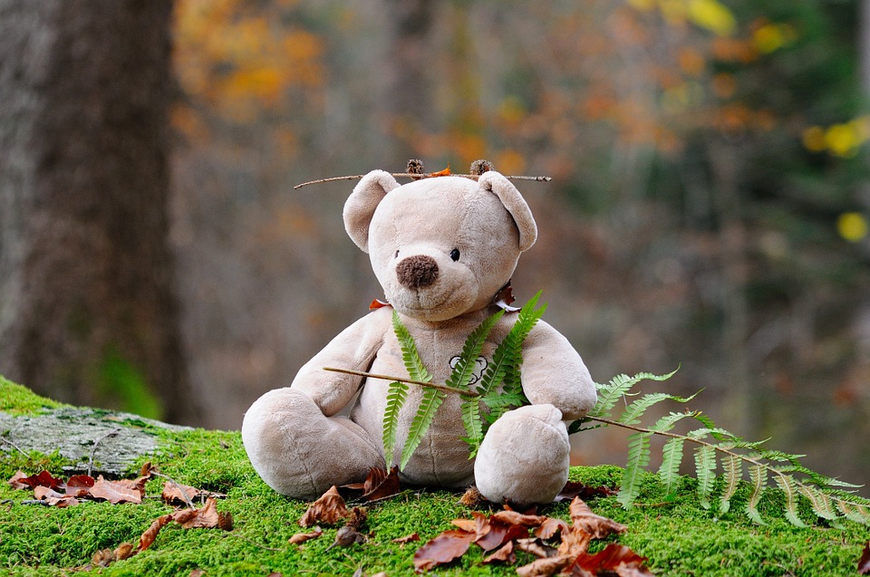 Hình ảnh: Pezibear | pixabay.com