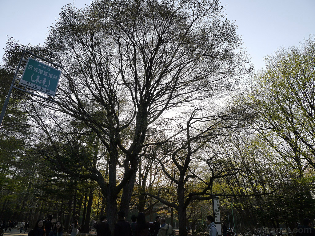 อาทิตย์เริ่มลับขอบฟ้า hokkaido_410