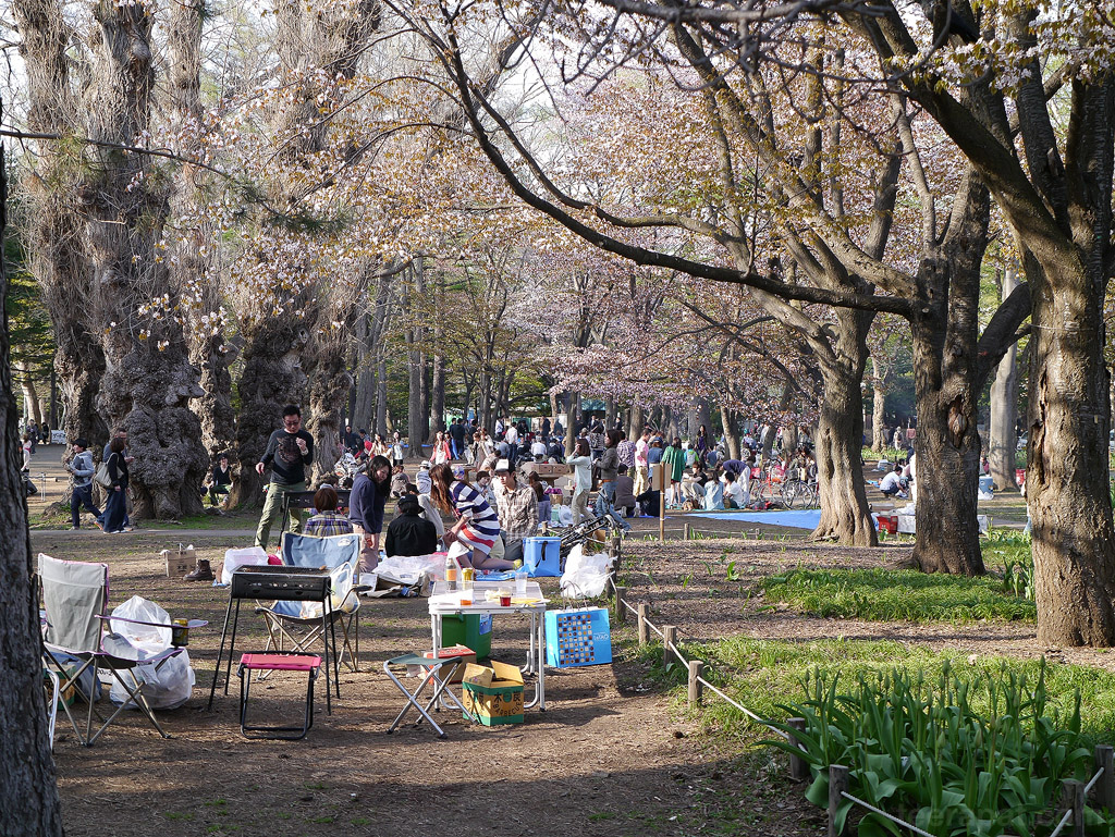 คนเยอะจริงๆ hokkaido_394