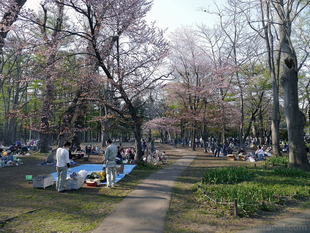 ร่มรื่น hokkaido_391