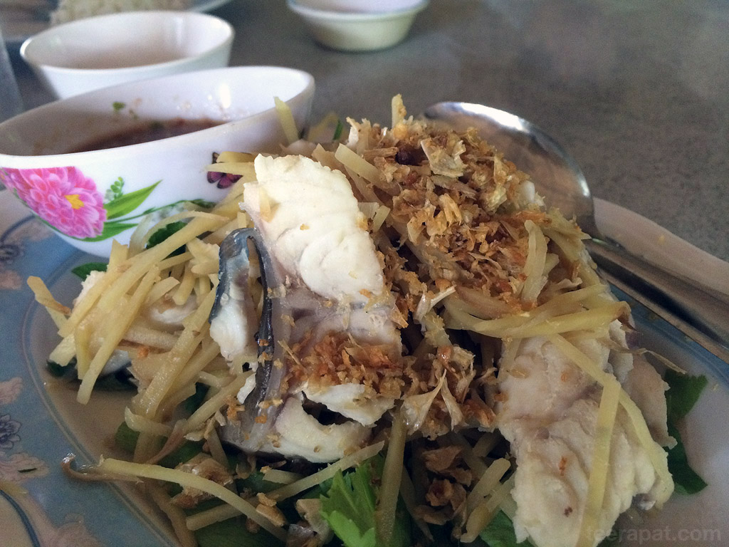 ปลาคังลวกจิ้ม ปลาสดใหม่ น้ำจิ้มก็อร่อยครับ ตัวชิ้นปลาหอมกลิ่นขิงที่โรยหน้ามาด้วย KruaHuaNa_07