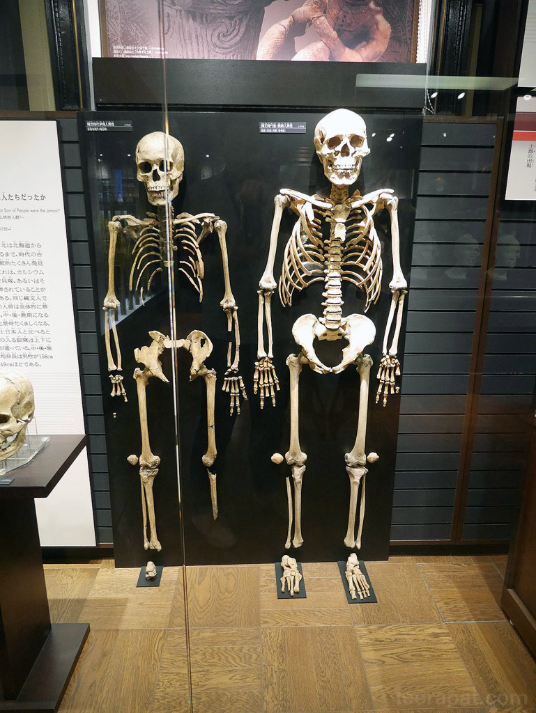 Japan14_793