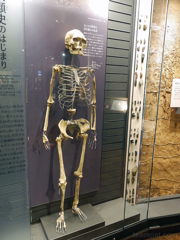 Japan14_790