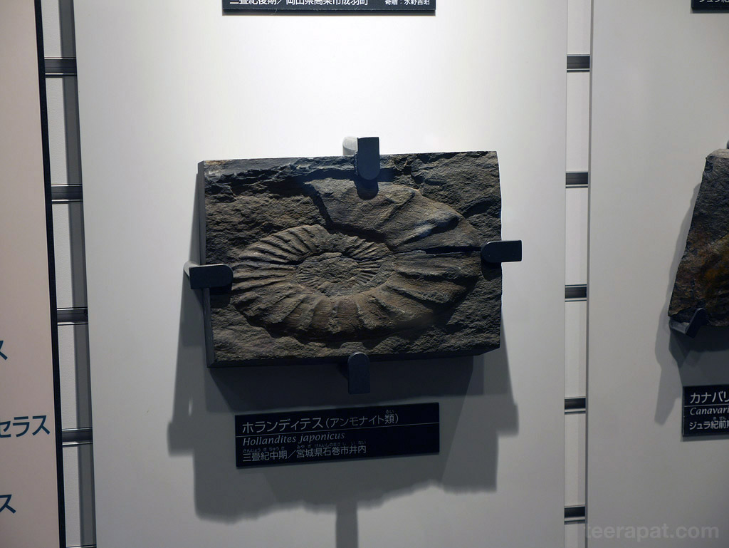 Japan14_785
