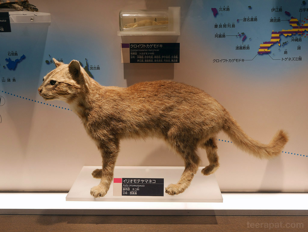Japan14_759
