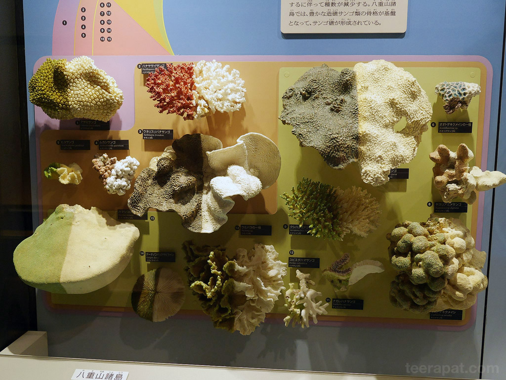 Japan14_756