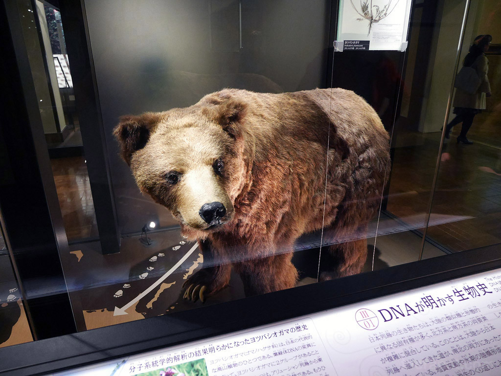 Japan14_752