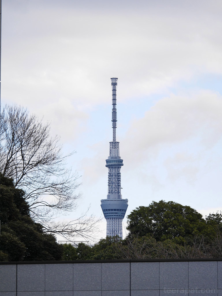 Tokyo Sky Tree Japan14_713