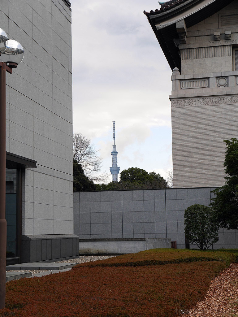 ขากลับมองออกไปเห็น Tokyo Sky Tree พอดี Japan14_712