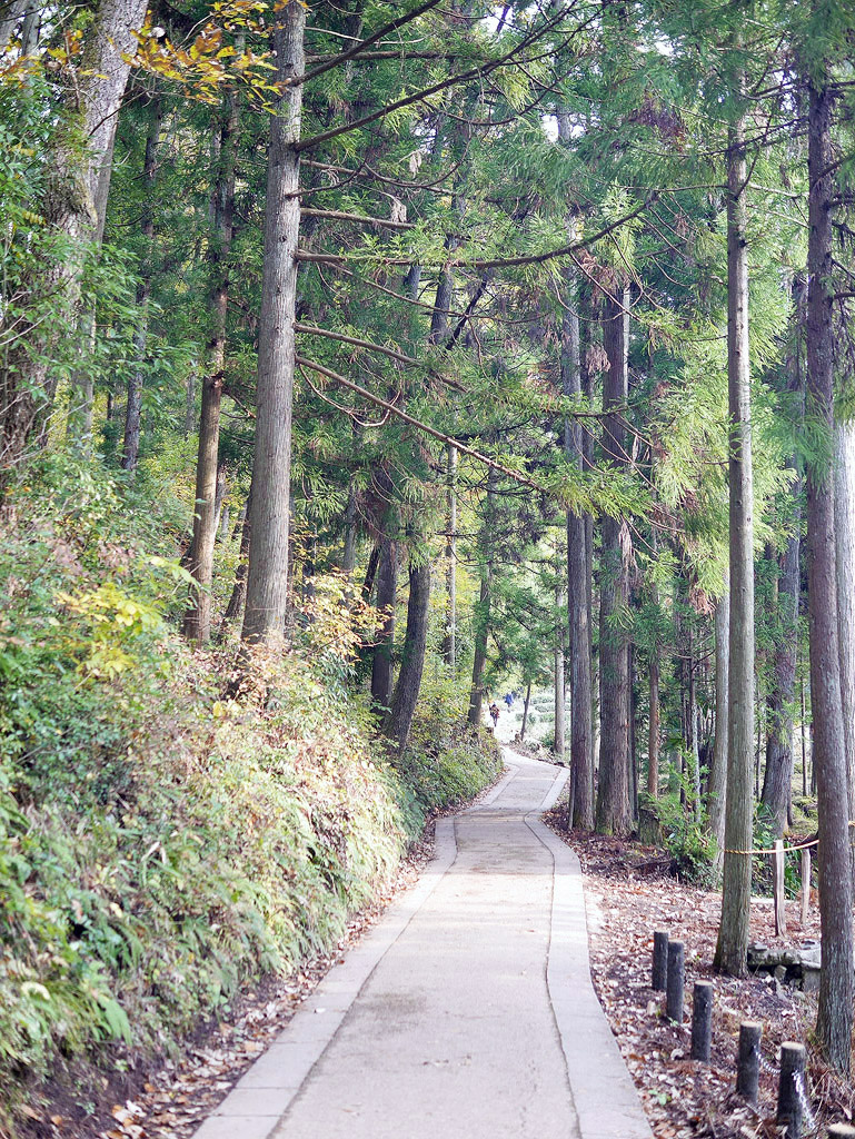 jpnov14_0005