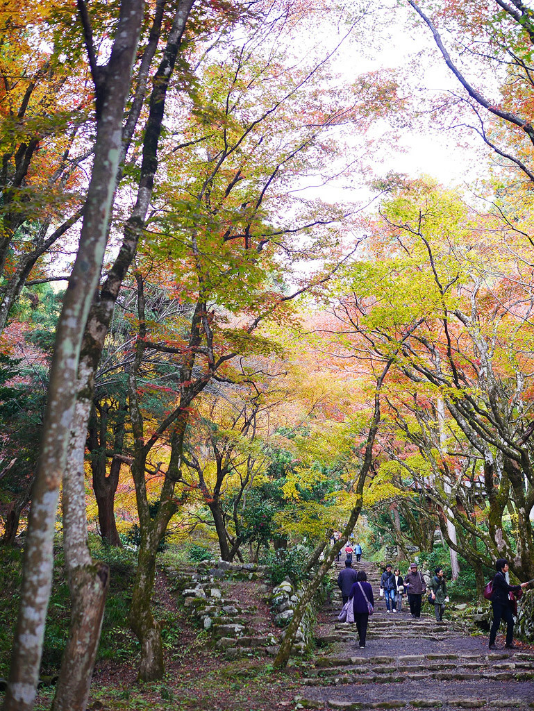 jpnov14_0007