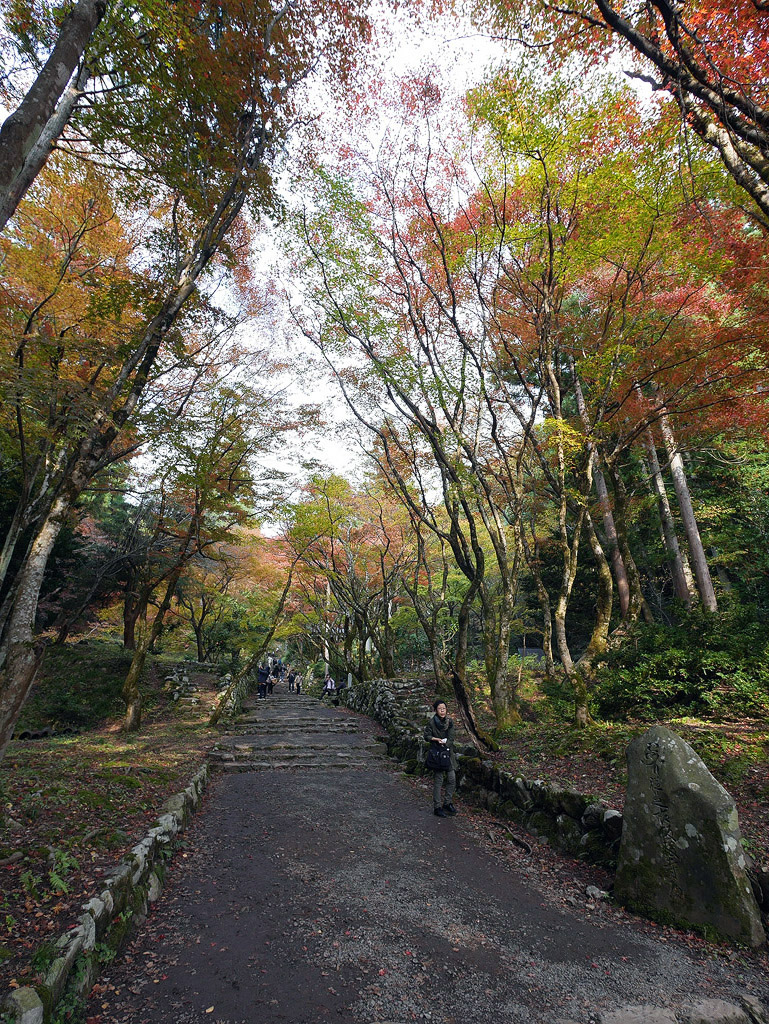 jpnov14_0011