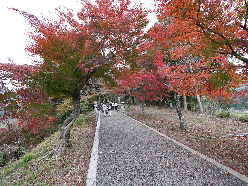 jpnov14_0014