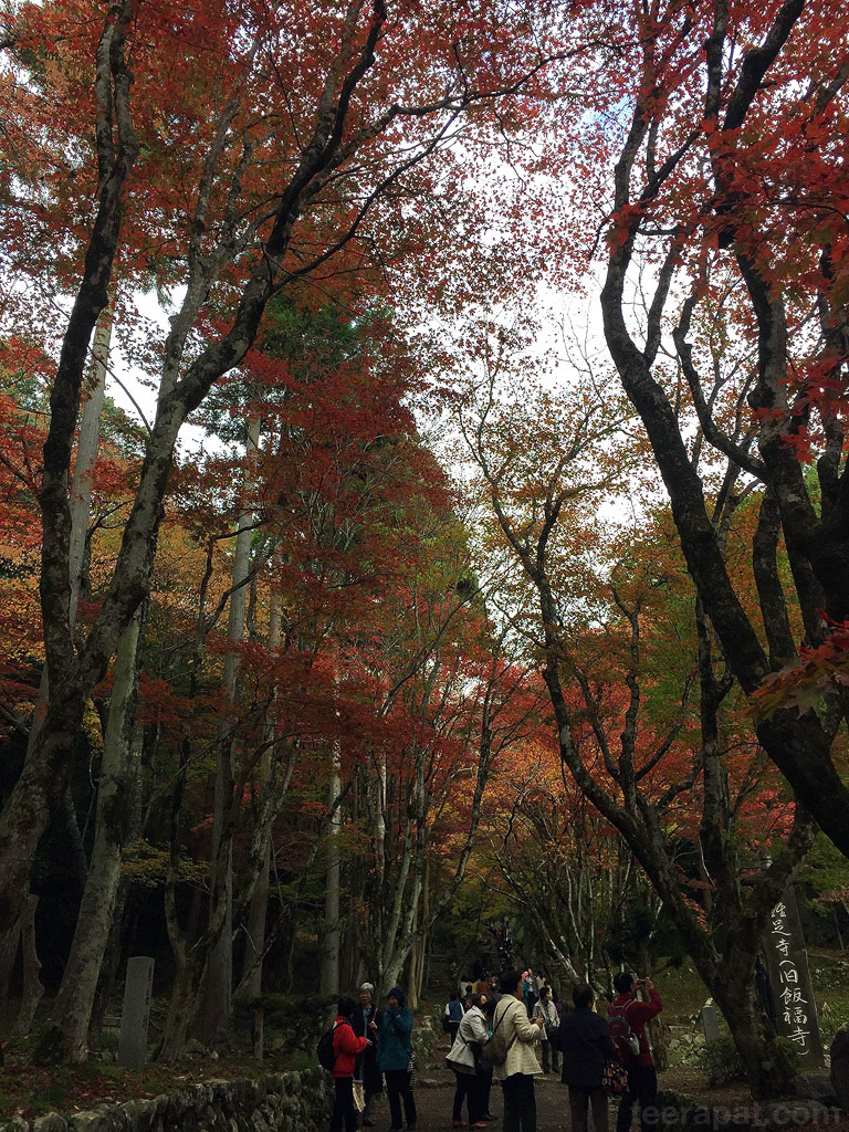 jpnov14i_0018