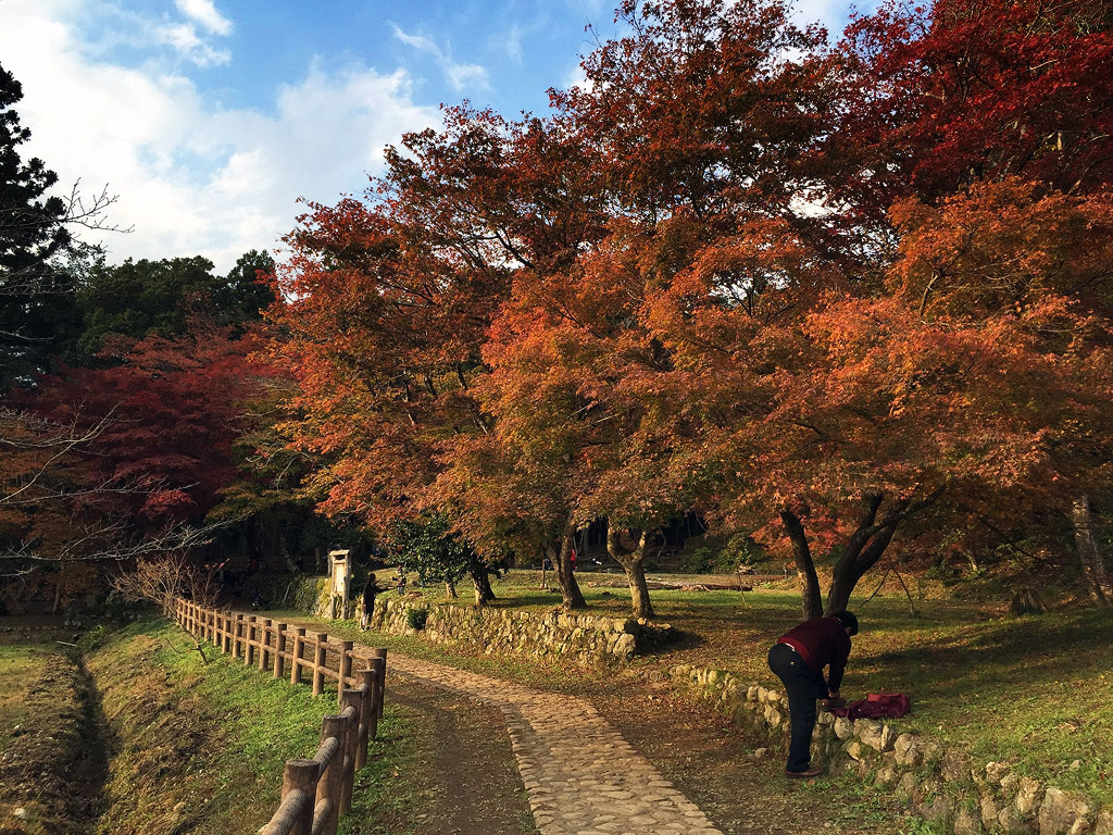 jpnov14i_0022