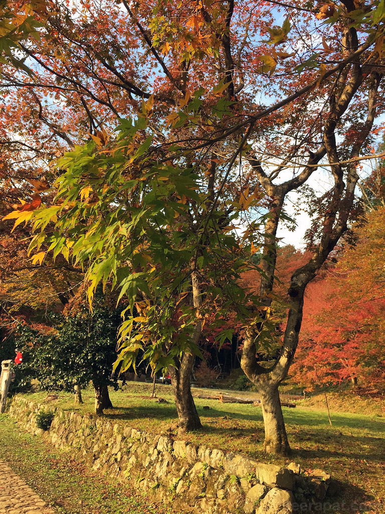 jpnov14i_0023