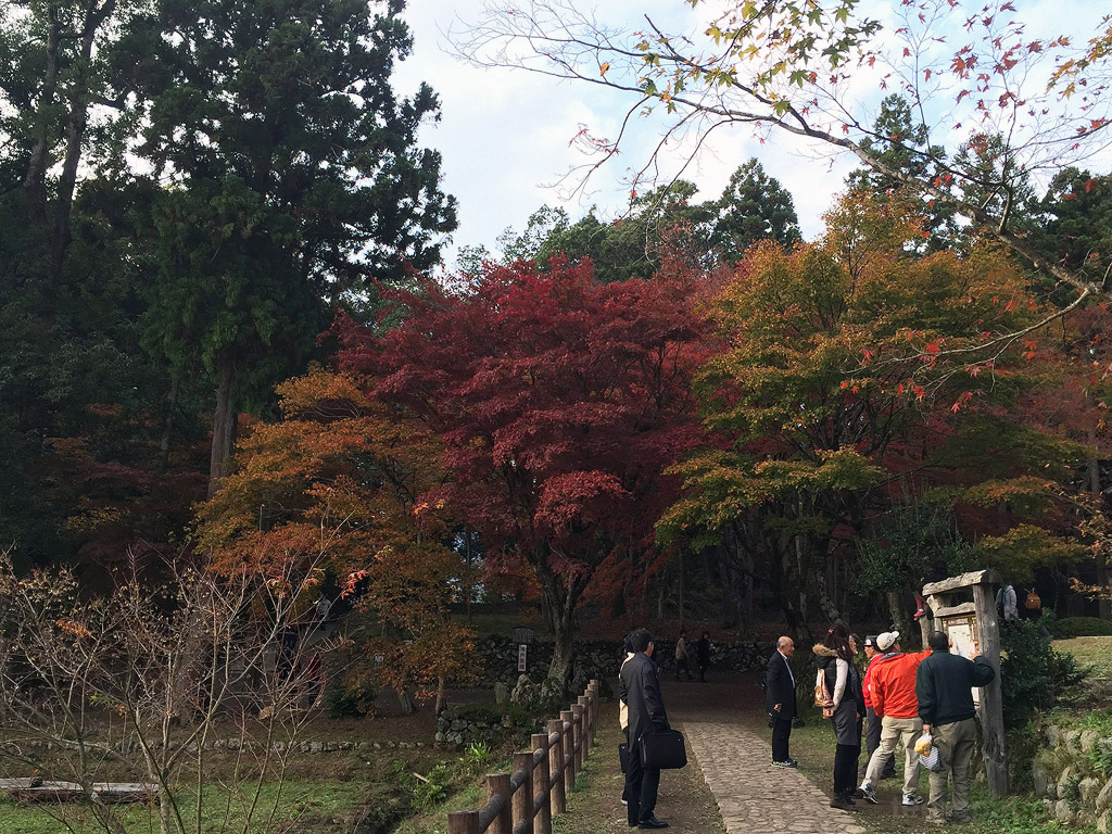jpnov14i_0024