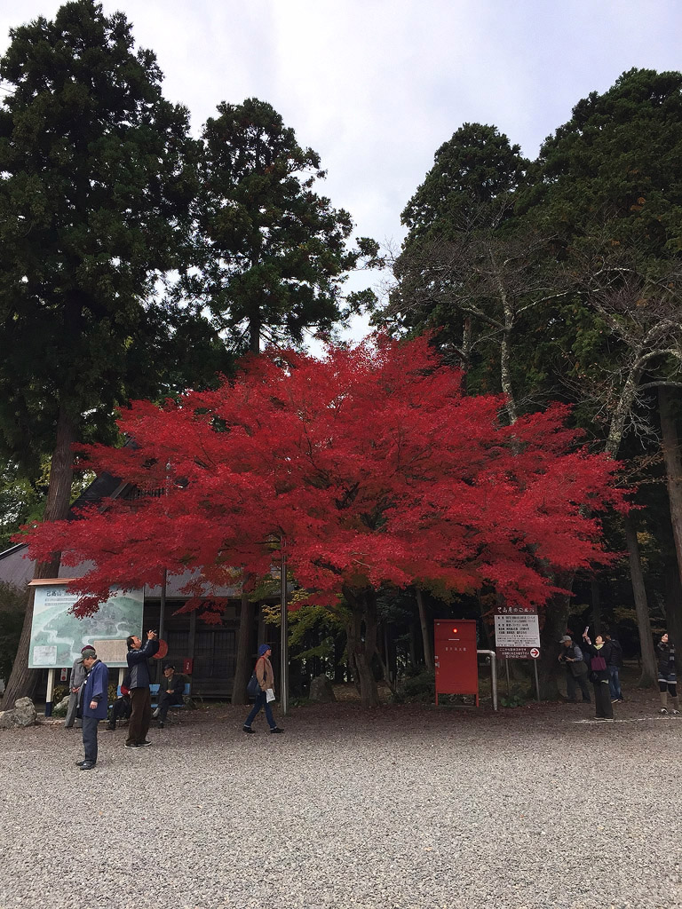 jpnov14i_0025