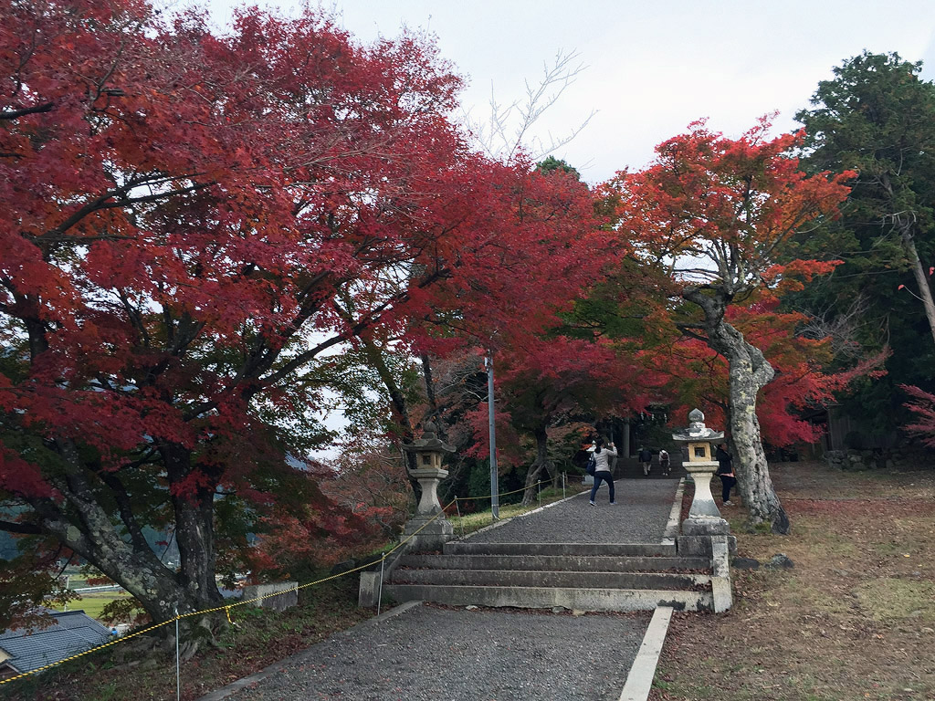 jpnov14i_0027