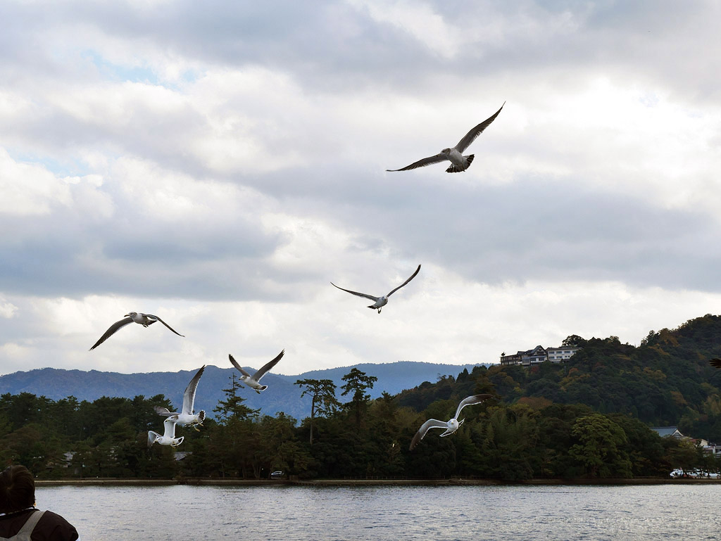 jpnov14_0080