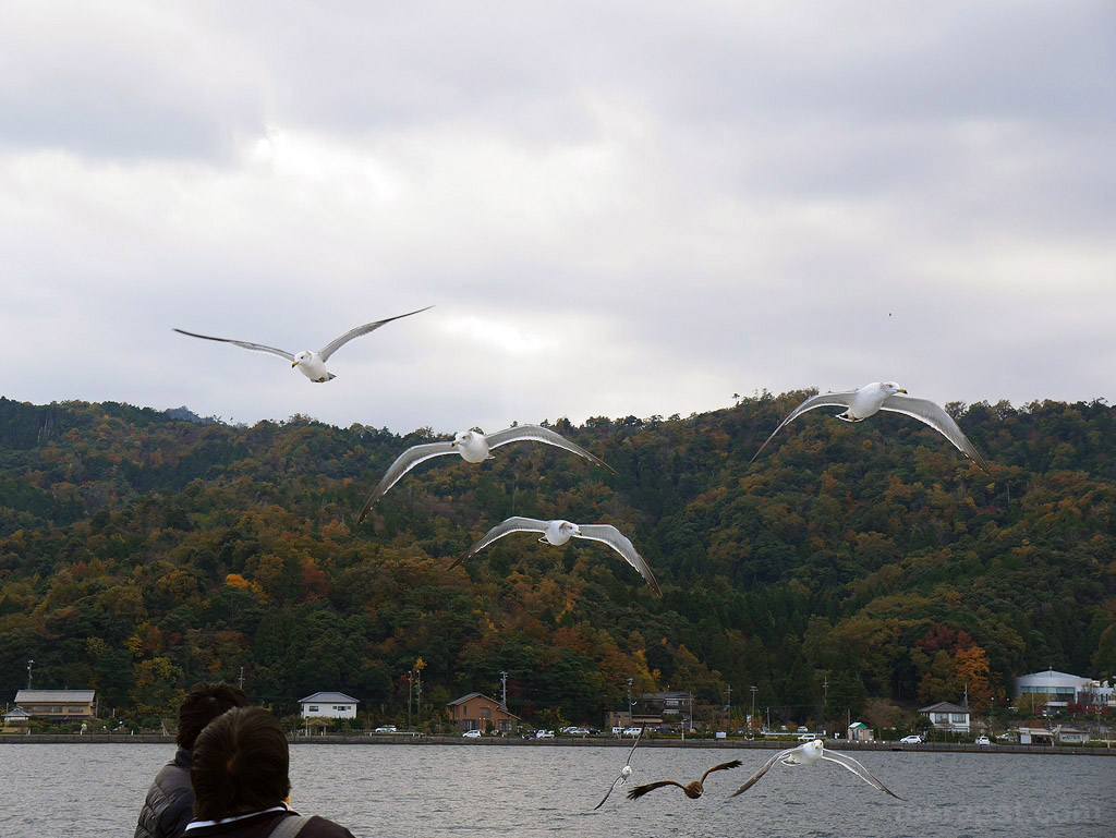 jpnov14_0082