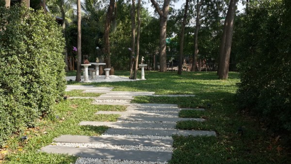 De Forest สวน