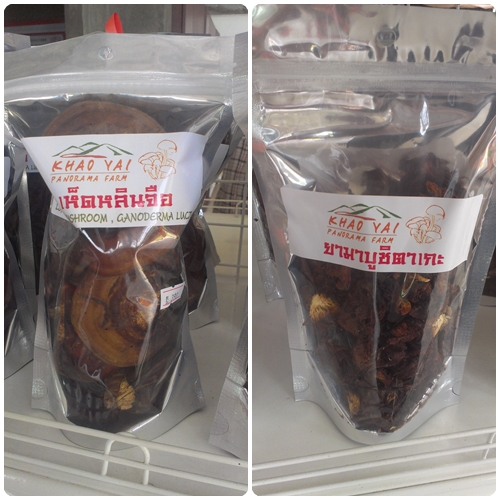 หลินจือ ยามาบูชิตาเกะ