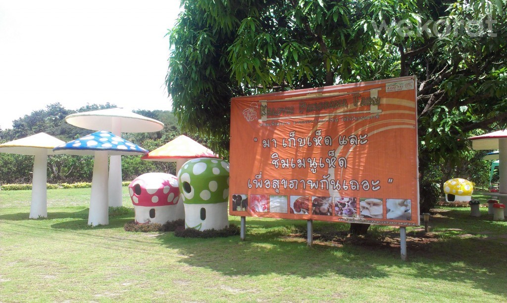 ป้ายด้านหน้า