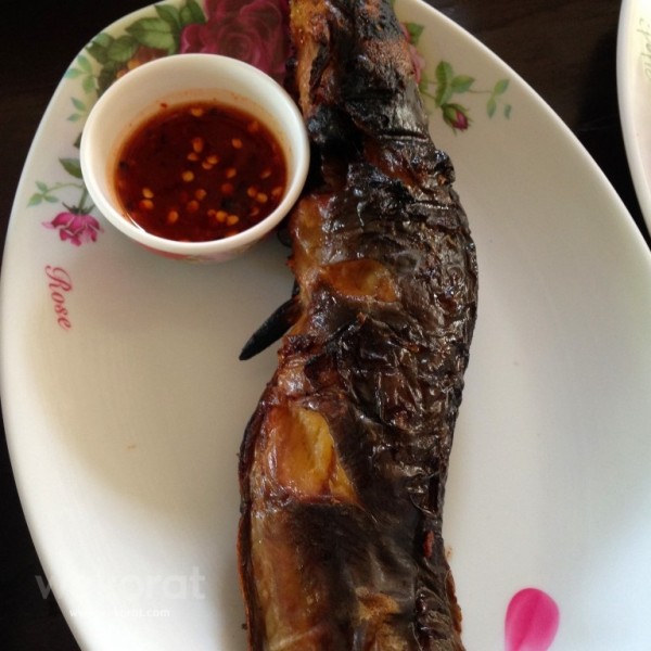 ปลาดุกย่าง