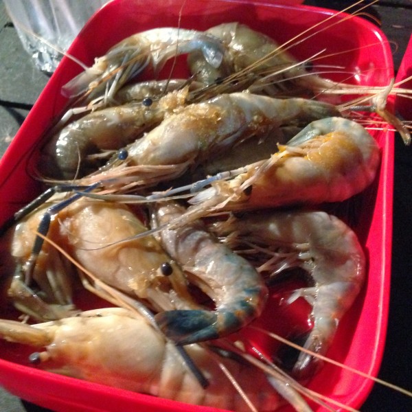 กุ้งงง
