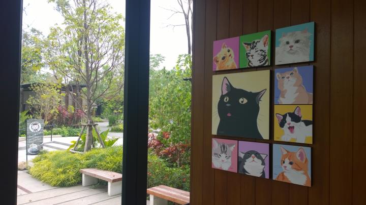 ร้านกาแฟ Coffee Cat