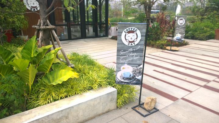 ร้านกาแฟ Coffee Cat