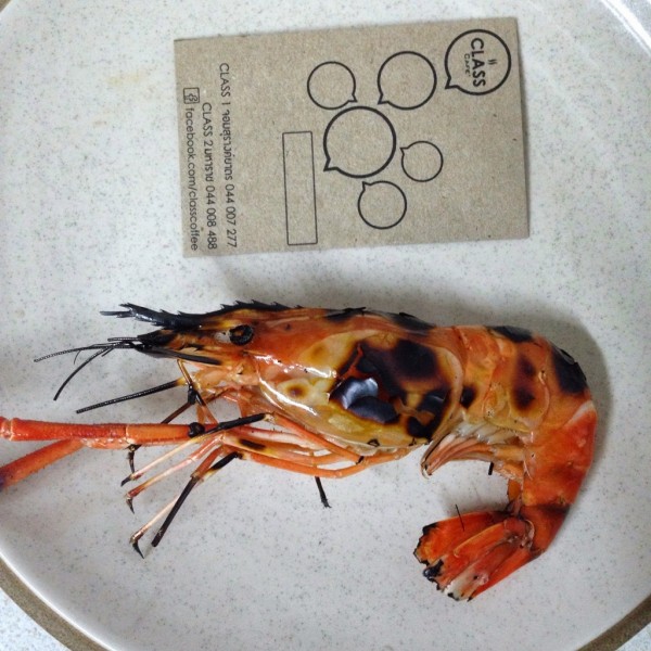 เทียบขนาดกุ้ง