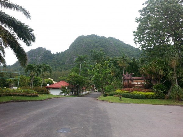 ภูเขาติดรีสอร์ท