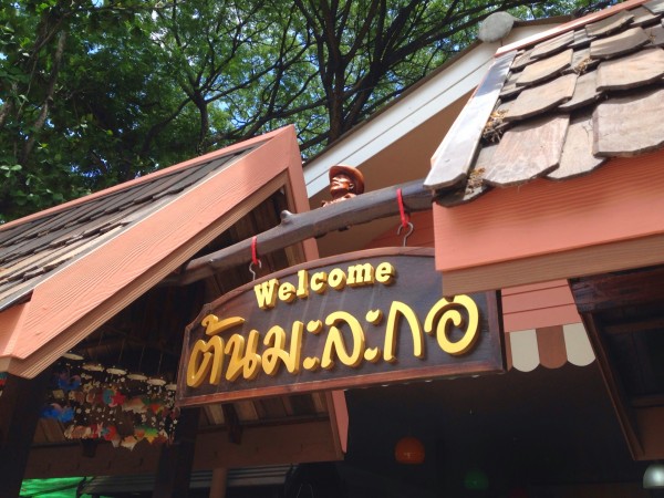 ร้านต้นมะละกอ