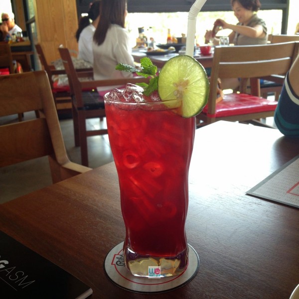 Wild Berry Soda