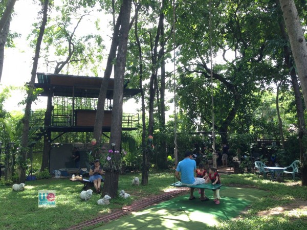 บรรยากาศในสวนของร้าน De Forest