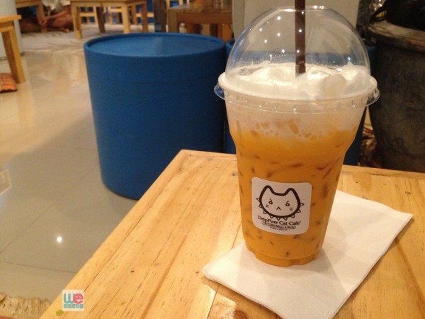 Iced Tea Catte