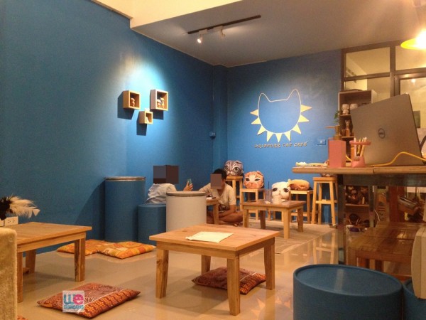 DripPurr Cat Cafe' มทส. ประตู 4