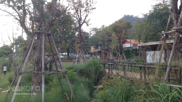 บรรยากาศสวนหน้าร้าน