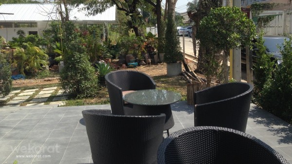สวนด้านหลังร้าน