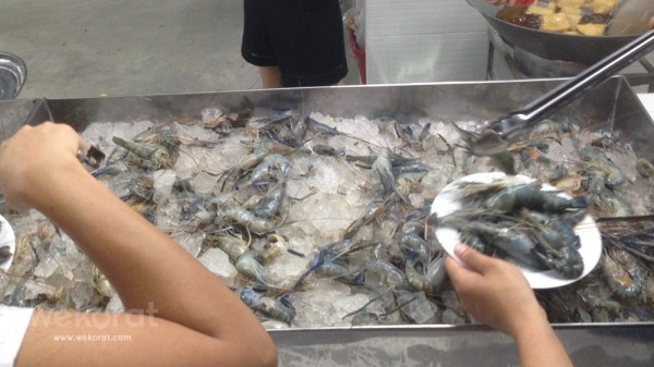 กุ้งขนาดกำลังดี ไม่เล็ก-ใหญ่