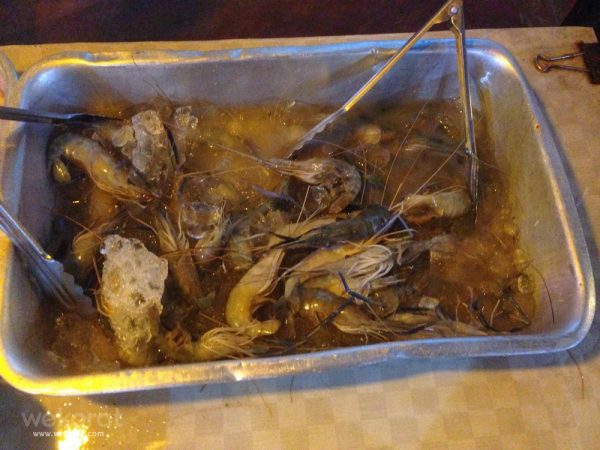 กุ้งจ้า